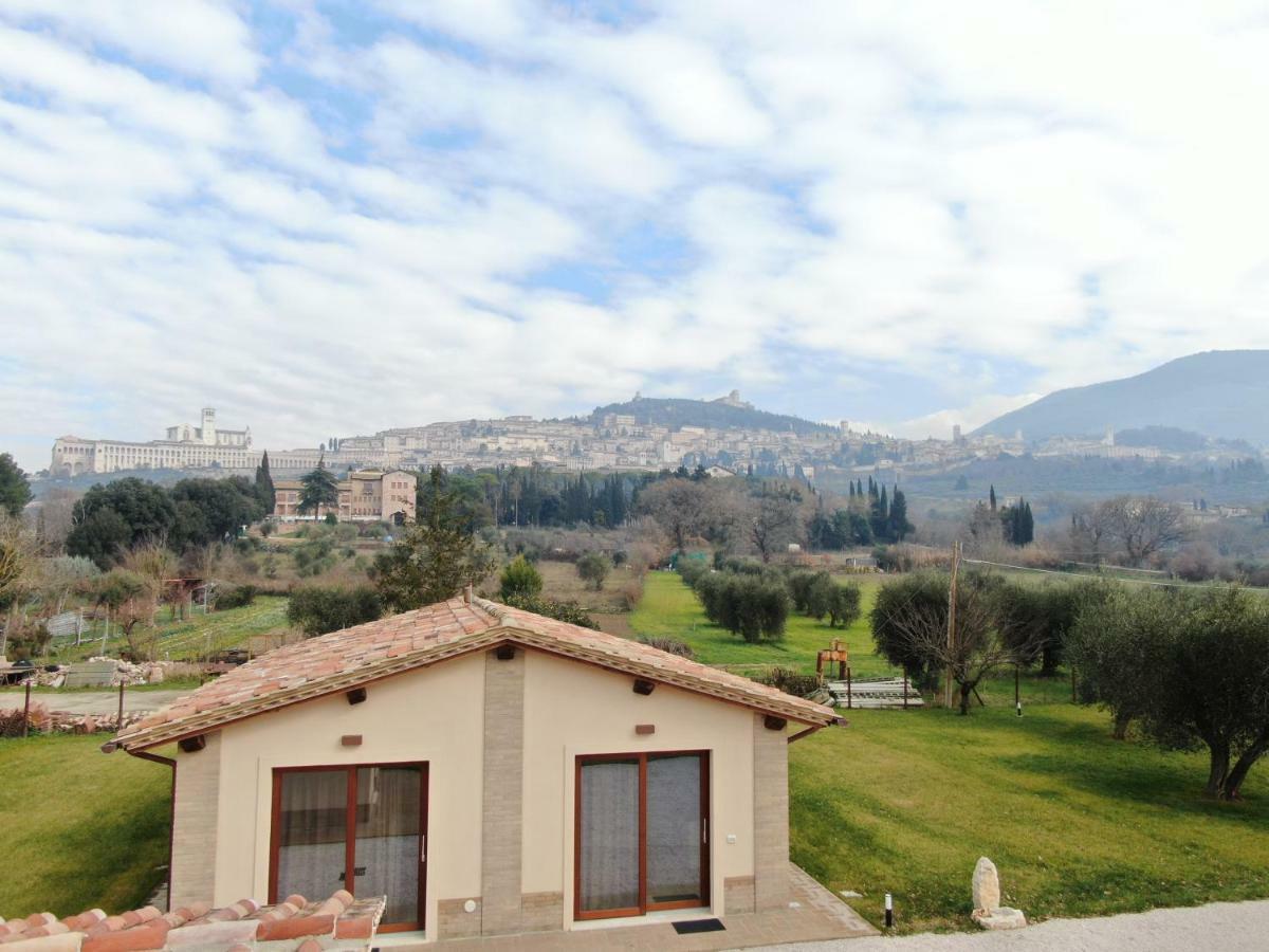 Il Granaio Di Rossetti Elisabetta Hotel อัสซิซี ภายนอก รูปภาพ