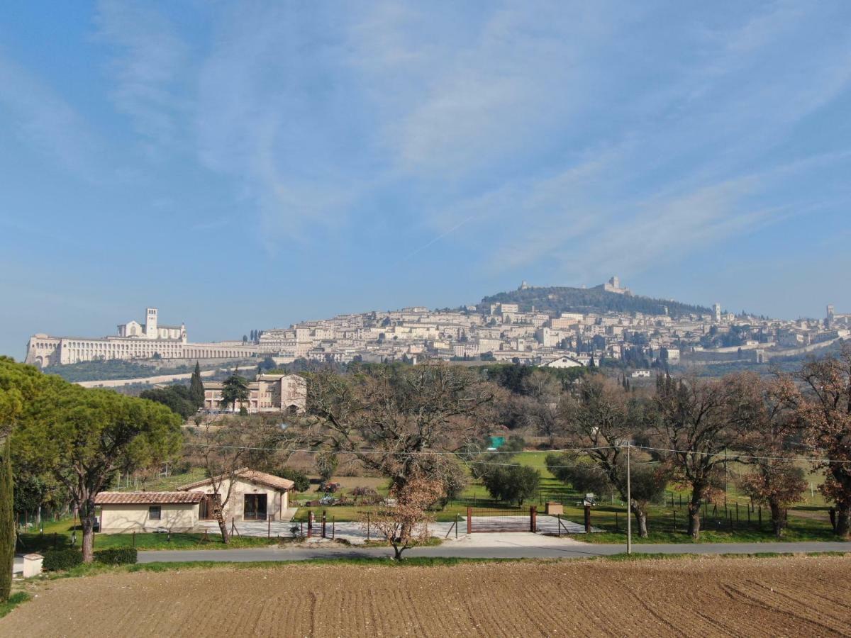 Il Granaio Di Rossetti Elisabetta Hotel อัสซิซี ภายนอก รูปภาพ